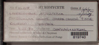Image Associated With the Occurence